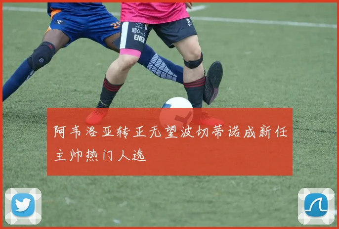 阿韦洛亚转正无望波切蒂诺成新任主帅热门人选