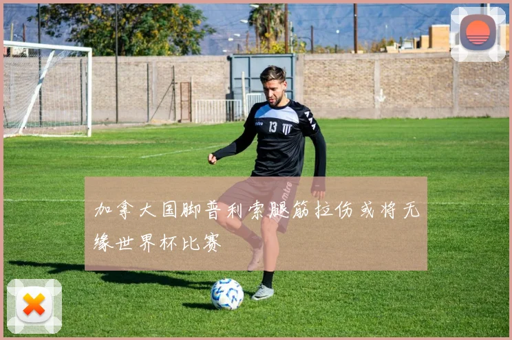 加拿大国脚普利索腿筋拉伤或将无缘世界杯比赛