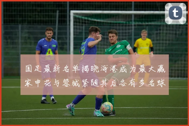 国足最新名单揭晓海港成为最大赢家申花与蓉城紧随其后各有多名球员入选