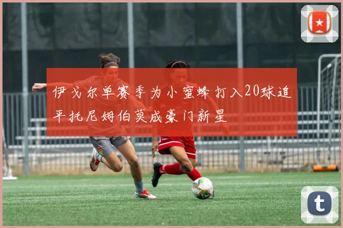 伊戈尔单赛季为小蜜蜂打入20球追平托尼姆伯莫成豪门新星