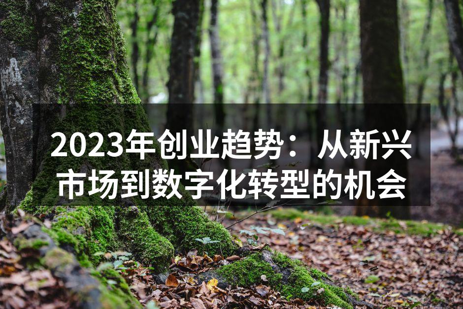 2023年创业趋势：从新兴市场到数字化转型的机会