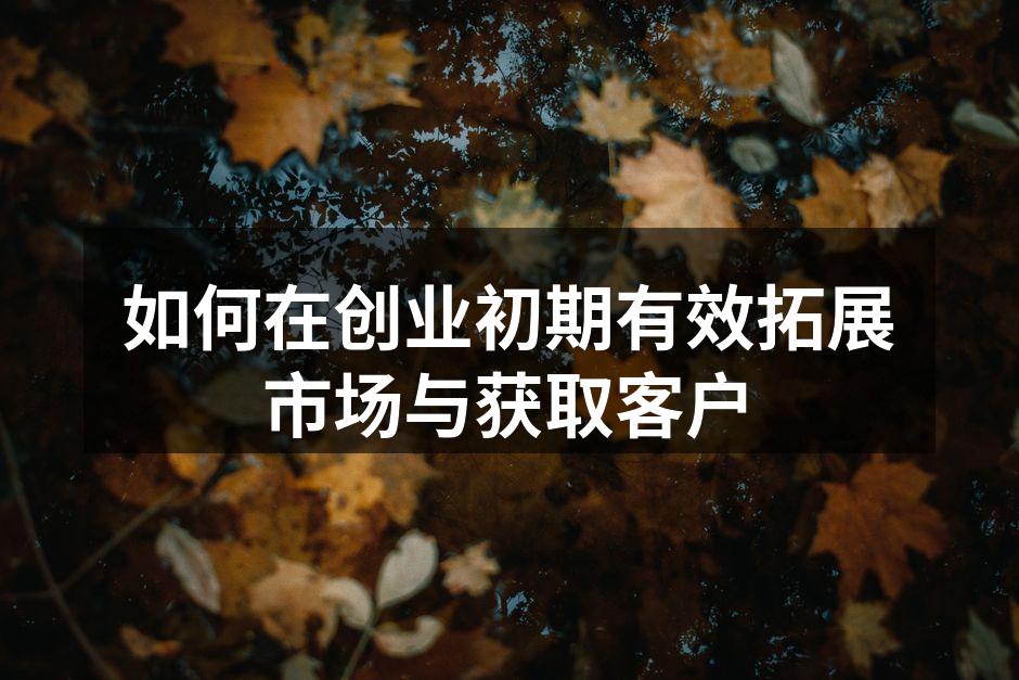 如何在创业初期有效拓展市场与获取客户